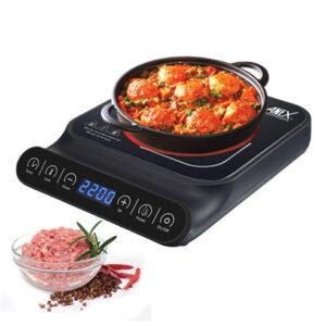 Anex 2166 Induction Cooker